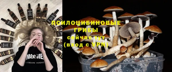 MDMA Верхний Тагил