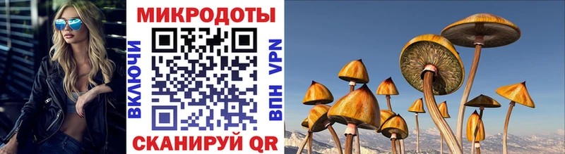 Псилоцибиновые грибы мухоморы  KRAKEN онион  Трубчевск 